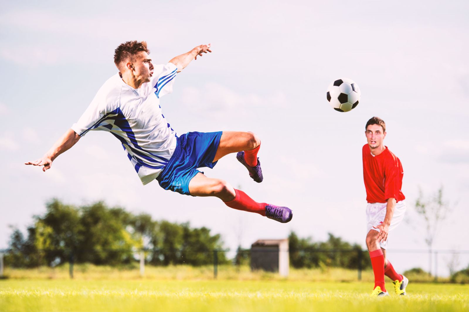 他不仅多次 他不仅多次