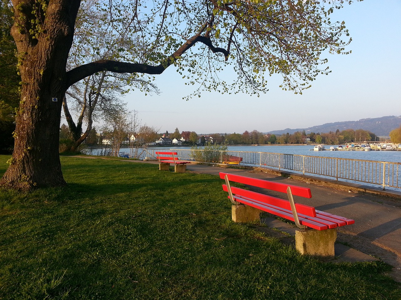 术和球员健 术和球员健