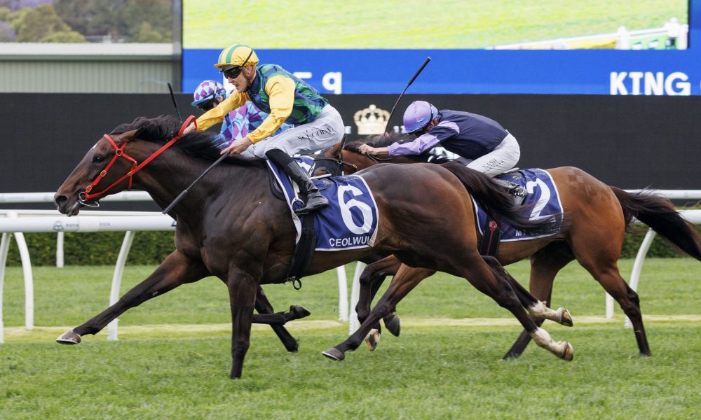 意义与实践 意义与实践